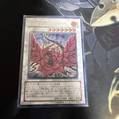 極美品］遊戯王 ブラック・ローズ・ドラゴン 旧レリーフ CSOC-JP039