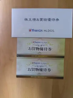 ヤマダ電機 株主優待 10,000円分 お買物優待券