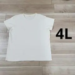 半袖Tシャツ 4L 白系 / TOPVALUのサムネイル