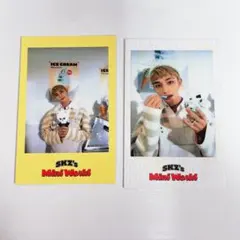 straykids スキズ 特典 ポラ ヒョンジン シーグリ 2023 セット