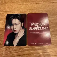 &TEAM アジツ　ツアー　タイ　トレカ　フウマ　FUMA