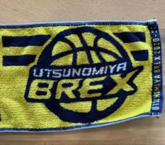 ブラウブリッツ秋田 お文具といっしょ タオルマフラー - メルカリ