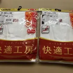 Item thumbnail for item 85885423-5bbc-4b1c-ae4f-d215e9d0e1c0