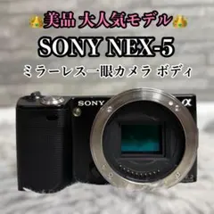 ソニー ウォークマン NW-E505 クリップ＆イヤホン付属 - メルカリ