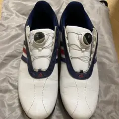 24.5cm アディダスゴルフシューズ　換えスパイク付き