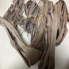 Item thumbnail for item c31ec036-f8ef-4805-b579-2dc5e783ce26