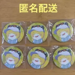 カラフルピーチ 東京ドームシティ 缶バッジ シヴァ からぴち ①