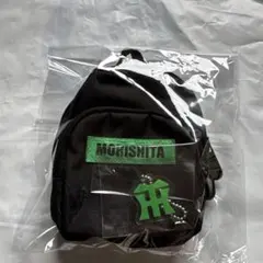 Item thumbnail for item a2e78af9-918d-467f-b9f6-f1e2962677bf