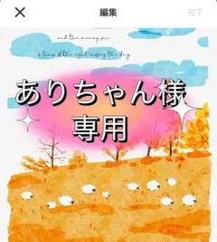 ありちゃん様専用　7点