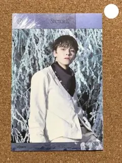 SEVENTEEN SECTOR17 VERNON バーノン ステッカー