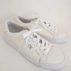 Item thumbnail for item bd5de301-64b1-408f-8ccb-9c13dca1024f