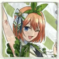 2025年最新】特大マルチクロス【四葉】の人気アイテム - メルカリ