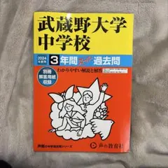 Item thumbnail for item 94057309-0494-4928-bc0c-028b6f6ca477