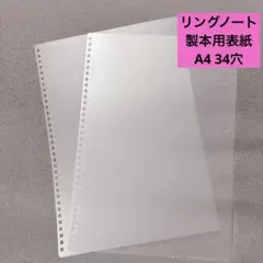 Item thumbnail for item 01403c07-f417-40d2-a3c3-5db555261872