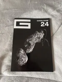 2025年最新】国内アーティスト：the GazettE その他の人気アイテム