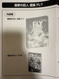 【一部未開封・新品】進撃の巨人 画集 FLY フルセット /