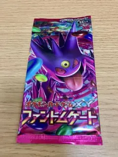 ファントムゲート　未開封パック 拡張パック第4弾 ファントムゲート(XY4)【未開封パック】{-}