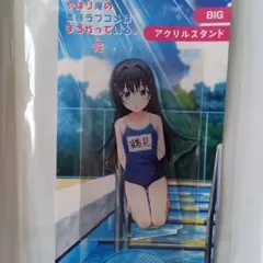 ユメステ いろは アクリル セット 9点 2025年最新】千寿いろはの人気アイテム - メルカリ