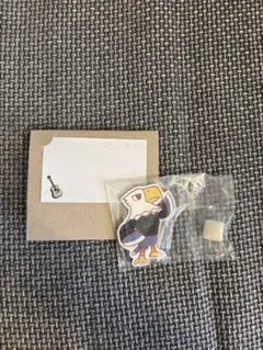 どうぶつの森 キャラマグネッツ　アポロ