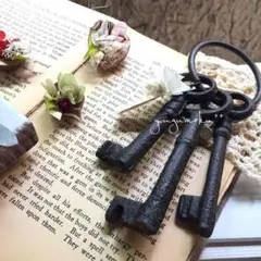 out トトロっち様 アンティークブラウン キーset♪