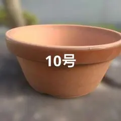 茶道具 半田 桂 - メルカリ