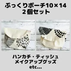 ぷっくりポーチ 2個セット 10×14 サークル柄 生成　ハンドメイドのサムネイル