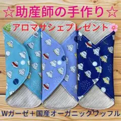 Item thumbnail for item c71d604e-2645-4d4e-92a0-22d7a7c5038e