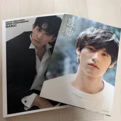 陳情令 博君一肖 BAZAAR&その他 写真集 肖战 王一博写真集28p - メルカリ