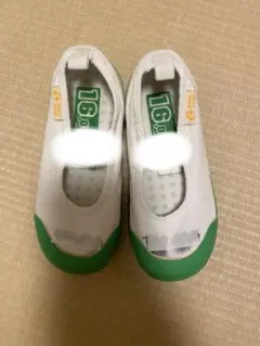 上靴　ムーンスター