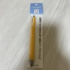 Item thumbnail for item 46426a9f-1ffe-4a6b-b687-09a505ff2872