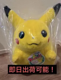 ポケットモンスター ポケモン30周年記念 おかえり！ピカチュウ1/1