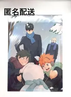 【匿名配送】ハイキュー A4クリアファイル 烏野高校