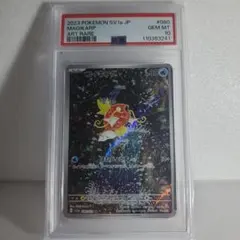 希少コイキング　ar psa10 psa9　連番【本日限定値下げ】 コイキングAR 大人気 驚きの激安価格 コイキング ar psa10