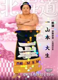 2026年最新】一山本大生の人気アイテム - メルカリ