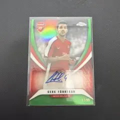 フェルナンド トーレス Topps Jリーグ デラックス 直筆 25シリ - メルカリ