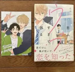 BLコミック　恋人がウブすぎて困る　広田　BL漫画　BL本　まとめ売り　BL 本