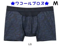 Item thumbnail for item 06d76cd3-9051-48e9-b6ac-cdf18f491ced