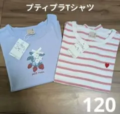 タグ付き新品　petit main プティプラ　半袖Tシャツ 2点セット　120