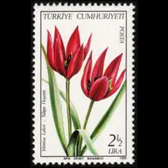 Item thumbnail for item 0f42c821-5b91-4e85-a359-6a70bcd90ed8