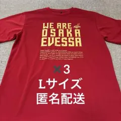 大阪エヴェッサ　Lサイズ　ティシャツ　WE ARE OSAKA EVESSA