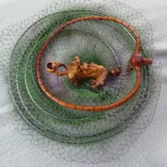 Item thumbnail for item dd1c1a5e-7441-4d05-8536-dedc9a0863cb