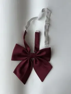 Item thumbnail for item 8e180ee8-2f10-4787-9050-0fb9826b01b2