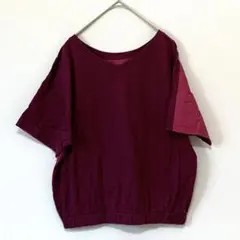 Vincent et Mireille エンジ　VネックTシャツ 半袖 春夏34のサムネイル