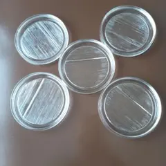 ガラス製 お皿　5枚セット　プレート
