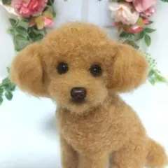 毛糸+羊毛フェルト トイプードル 全身タイプ (お好みでリボンお付けし