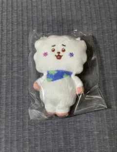 BT21 FuwaFuwa Mascot 4 RJ