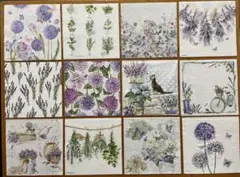 Item thumbnail for item a493515d-9be8-4c9e-9411-3fdb03e9f615