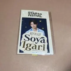 ジュニア STAR to FESTIVAL スタフェス 猪狩蒼弥 ステッカー
