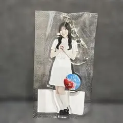 乃木坂46 川﨑桜 個別全身アクリルキーホルダー チートデイ - メルカリ
