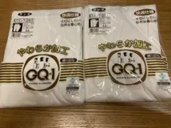 【新品】紳士　グンゼ　長ズボン下　前あき　LL 綿100% 2枚セット